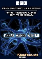 Внутренняя вселенная: Тайная жизнь клетки (2012) Our Secret Universe: The Hidden Life of the Cell