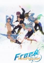 Свобода! Вечное лето/Вольный стиль (2014) Free! Eternal Summer