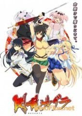 Ниндзя бунтарки (2012) Senran Kagura