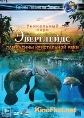 Эверглейдс 3D: Ламантины Кристальной реки (2012) Adventure Everglades 3D: The Manatees of Crystal River