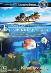 Багамские острова 3D: Таинственные пещеры и затонувшие корабли (2012) Adventure Bahamas 3D: Mysterious Caves And Wrecks