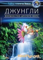 Джунгли 3D: Волшебство другого мира (2012) Der Dschungel / The Jungle: Magic Of Another World