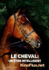 Разумное существо. Лошадь (2012) Le cheval : un &#234;tre intelligent