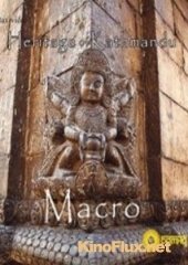 Макро. Катманду наследия Непала (2013) Macro. Kathmandu heritage Nepal