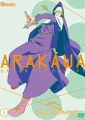 Под мостом над Аракавой (2010) Arakawa and&#226; za burijji / Arakawa Under the Bridge