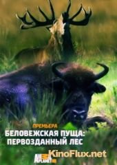 Беловежская пуща: первозданный лес (2015) The Primeval Forest of Belovezhskaya Pushcha