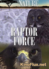 NG: Сила Хищных Птиц (2006) NG: Raptor Force