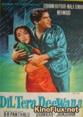 Сердце безрассудно (1962) Dil Tera Diwana