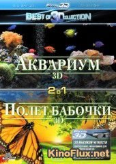 Полет бабочки 3D (2012) Flight of the Monarch Butterfly 3D