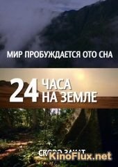 24 часа на Земле (2013) 24 Hours on Earth