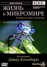 BBC: Жизнь в микромире (2005) Life in the Undergrowth