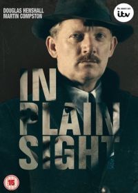 На виду (2016) In Plain Sight