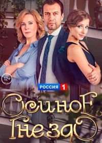 Осиное гнездо (2017)