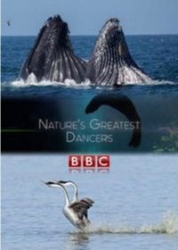 BBC. Танцы дикой природы (2015) Nature's Greatest Dancers