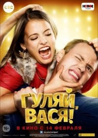 Гуляй, Вася! (2017)