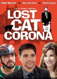 В Короне пропал кот (2015) Lost Cat Corona