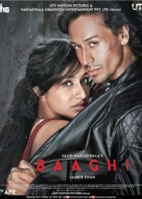 Бунтарь (2016) Baaghi