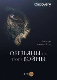 Discovery. Обезьяны на тропе войны (2016) Rise of the Warrior Apes