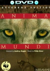 Душа мира (1992) Anima Mundi