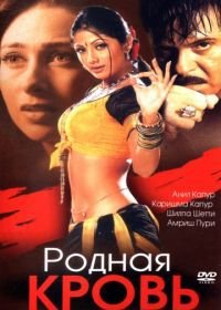 Родная кровь (2002) Rishtey