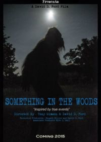 Нечто из леса (2016) Something in the Woods