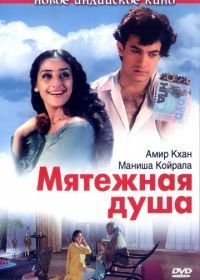 Мятежная душа (1999) Mann