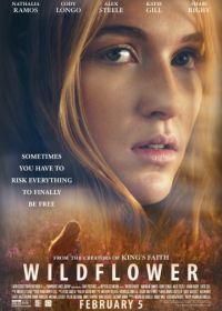 Дикий цветок (2016) Wildflower