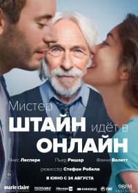 Мистер Штайн идёт в онлайн (2017) Un profil pour deux