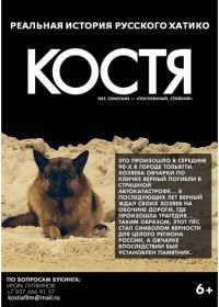 Костя (2016)