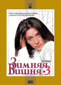 Зимняя вишня 3 (1995)