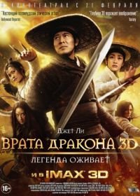 Врата дракона (2011) Long men fei jia