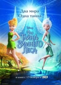 Феи: Тайна зимнего леса (2012) Secret of the Wings