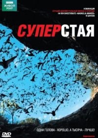 BBC: Суперстая (2009) SuperSwarm: Nature's Incredible Invasions