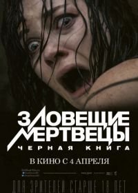 Зловещие мертвецы: Черная книга (2013) Evil Dead