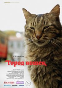 Город кошек (2016) Kedi