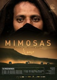 Мимозы (2016) Mimosas