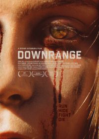 Стрельба по мишеням (2017) Downrange