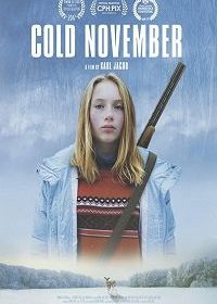 Холодный ноябрь (2017) Cold November