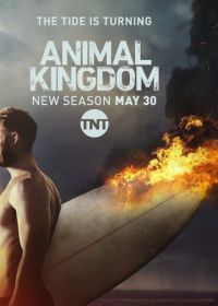 По волчьим законам (2016) Animal Kingdom