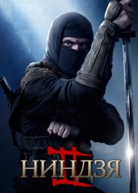 Ниндзя 2 (2013) Ninja: Shadow of a Tear