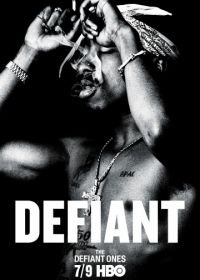 Непокорные (2017) The Defiant Ones