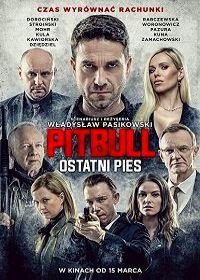 Питбуль. Последний пес (2018) Pitbull. Ostatni pies