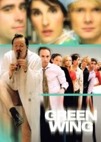 Зеленое крыло (2004) Green Wing