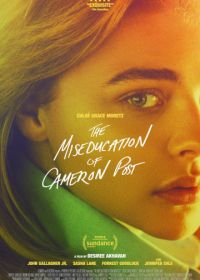 Неправильное воспитание Кэмерон Пост (2018) The Miseducation of Cameron Post