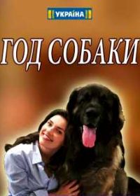 Год собаки (2018)