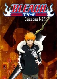 Блич (2004) Bleach: Burîchu