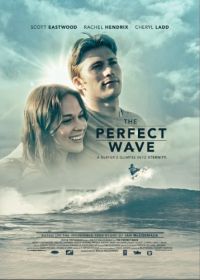 Идеальная волна (2014) The Perfect Wave