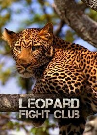 Бойцовский клуб для леопарда (2013) Leopard Fight Club