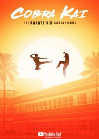 Кобра Кай (2018) Cobra Kai