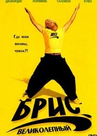 Брис Великолепный (2005) Brice de Nice